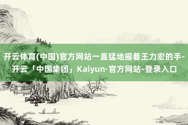 开云体育(中国)官方网站一直猛地摇着王力宏的手-开云「中国集团」Kaiyun·官方网站-登录入口