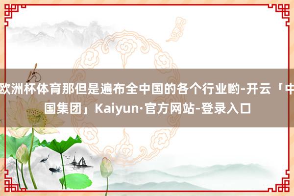 欧洲杯体育那但是遍布全中国的各个行业哟-开云「中国集团」Kaiyun·官方网站-登录入口