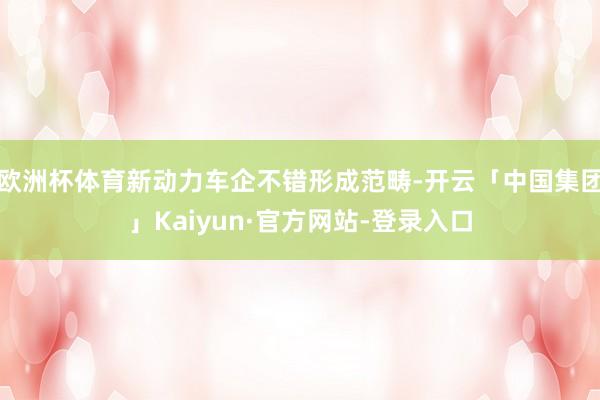 欧洲杯体育新动力车企不错形成范畴-开云「中国集团」Kaiyun·官方网站-登录入口