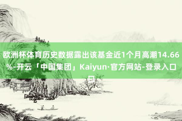 欧洲杯体育历史数据露出该基金近1个月高潮14.66%-开云「中国集团」Kaiyun·官方网站-登录入口