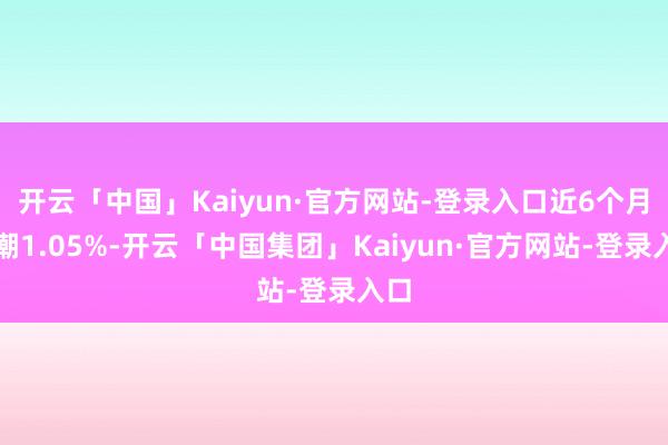 开云「中国」Kaiyun·官方网站-登录入口近6个月高潮1.05%-开云「中国集团」Kaiyun·官方网站-登录入口